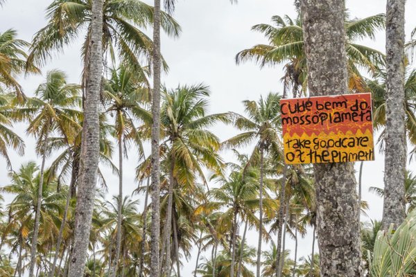 Guide d'achat 2025 : choisir les meilleurs sites cbd de qualité